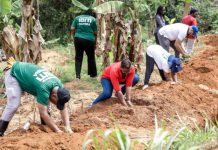 Rwanda’s journey to restore two million hectares of degraded land Rwanda’s journey to restore two million hectares of degraded land
