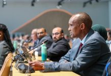 COP29: What African group of negotiators hope to walk away with COP29: What African group of negotiators hope to walk away with