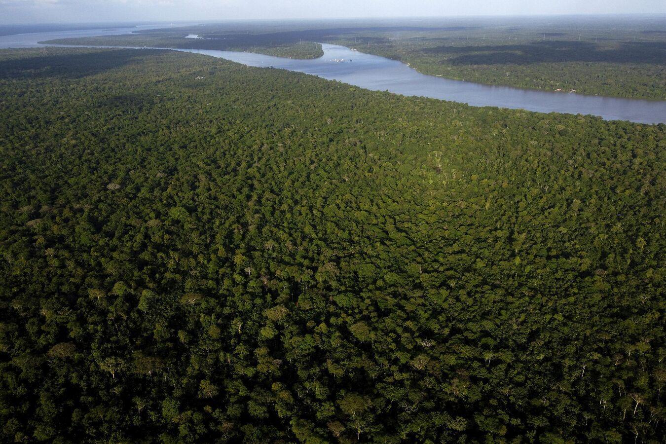 Machángara River’s Rights Have Been Violated by Pollution - Court Ruling Machángara River’s Rights Have Been Violated by Pollution - Court Ruling