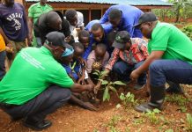 City of Kigali seeks five fruit trees per household City of Kigali seeks five fruit trees per household