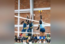Exciting volleyball events to watch in Africa in 2025 Exciting volleyball events to watch in Africa in 2025
