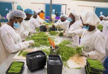 How Rwanda plans to make $7bn in export revenues How Rwanda plans to make $7bn in export revenues