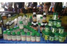 The resurgence of traditional medicine in Rwanda and its impact on healthcare The resurgence of traditional medicine in Rwanda and its impact on healthcare