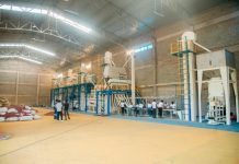 How Nigeria, Eritrea, Ethiopia are becoming key FDI sources for Rwanda How Nigeria, Eritrea, Ethiopia are becoming key FDI sources for Rwanda