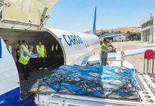 Rwanda Sends Largest Humanitarian Aid Shipment to Gaza Rwanda Sends Largest Humanitarian Aid Shipment to Gaza