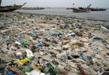 Oceans Face Triple Threat of Oxygen Loss Heat Acidification Oceans Face Triple Threat of Oxygen Loss Heat Acidification