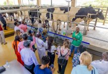 Evolving Farming Practices in Rwanda for Modern Demands Evolving Farming Practices in Rwanda for Modern Demands