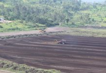 Rwanda to Restore Degraded Peatlands Rwanda to Restore Degraded Peatlands