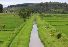 Bilharzia’s Ongoing Impact on Rural Rwandan Children Bilharzia's Ongoing Impact on Rural Rwandan Children