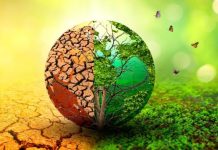 Support for Climate Policies During Weather Events Support for Climate Policies During Weather Events