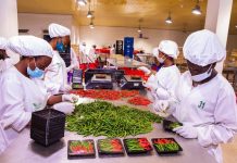 Rwanda agric exports fetch Rwf15bn in one week Rwanda agric exports fetch Rwf15bn in one week