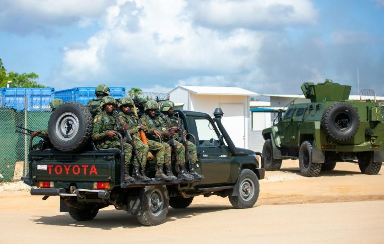 Rwanda-Mozambique Ties Evolve to Multi-Sector Cooperation - Rwanda