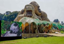 Excitement builds in Kinigi ahead of Kwita Izina festival Excitement builds in Kinigi ahead of Kwita Izina festival