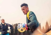 Amrouche Urges Kaizer Chiefs to Give Ntwari a Chance Amrouche Urges Kaizer Chiefs to Give Ntwari a Chance