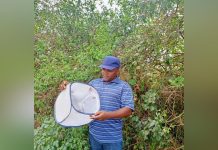 Butterfly Farming as a Source of Income and Conservation Butterfly Farming as a Source of Income and Conservation