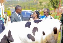 Jobs First: A Sustainable Path to Prosperity Jobs First: A Sustainable Path to Prosperity