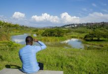 Nyandungu’s Role in Rwanda’s Green Spaces Vision Nyandungu's Role in Rwanda's Green Spaces Vision