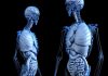 Scientists Discover New Organ in Human Body Scientists Discover New Organ in Human Body
