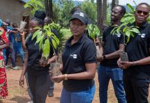 CanalBox Greening Rwanda’s Future One Tree at a Time CanalBox Greening Rwanda's Future One Tree at a Time
