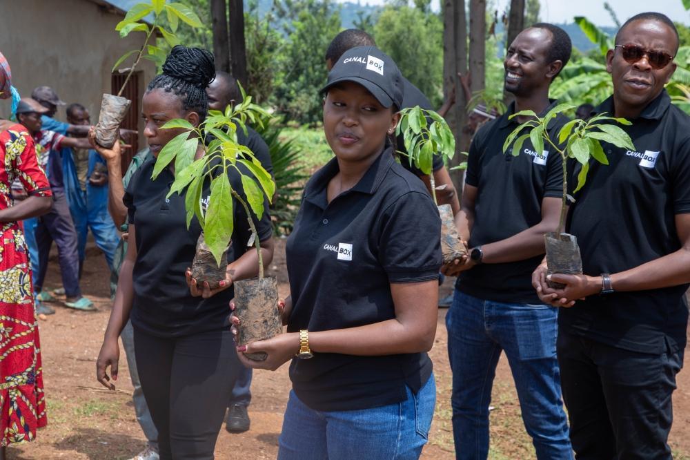 CanalBox Greening Rwanda's Future One Tree at a Time CanalBox Greening Rwanda's Future One Tree at a Time