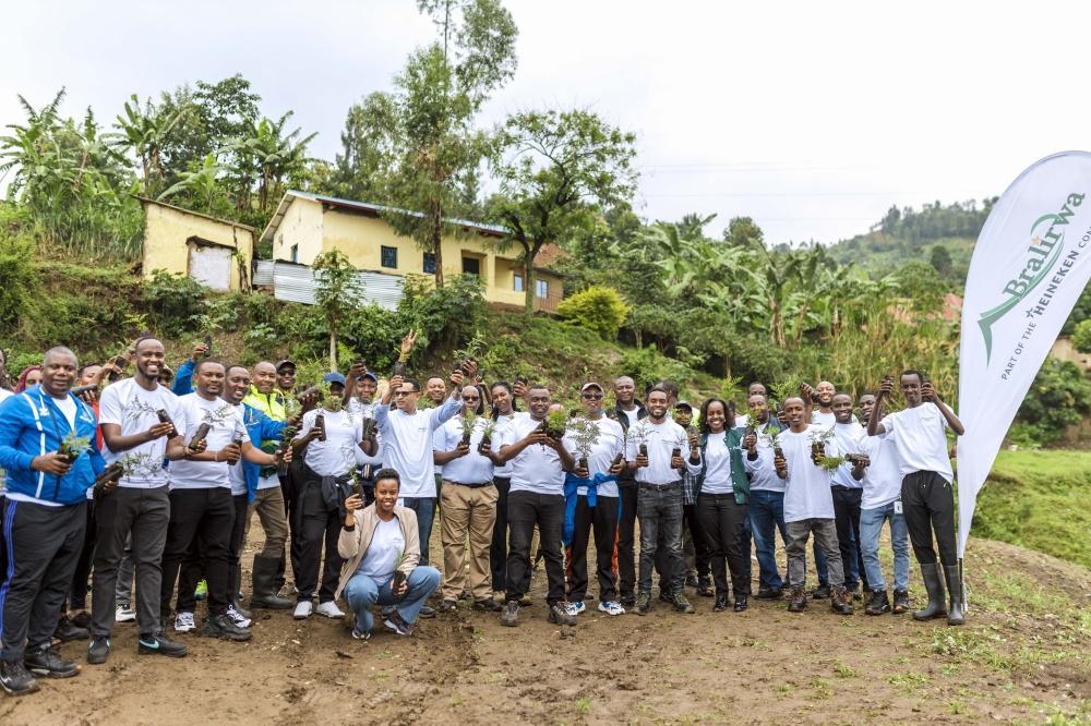 Bralirwa Plants 13,000 Trees in Rubavu District Bralirwa Plants 13,000 Trees in Rubavu District
