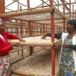 Kilimo Trust’s 20 Years of Impact in Rwanda Kilimo Trust's 20 Years of Impact in Rwanda