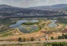 Reviving Degraded Wetlands for Urban Recreation Reviving Degraded Wetlands for Urban Recreation