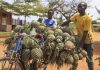 New push to expand access to finance for Rwandan farmers New push to expand access to finance for Rwandan farmers