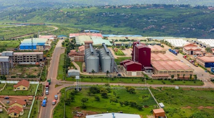 Stand out to scale up: Mastering growth and differentiation Stand out to scale up: Mastering growth and differentiation