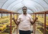CASA’s Role in Empowering Rwandan Agri-SMEs CASA's Role in Empowering Rwandan Agri-SMEs