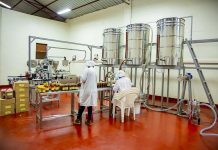 Gishwati-Mukura Restoration Boosts Wildlife and Communities Gishwati-Mukura Restoration Boosts Wildlife and Communities