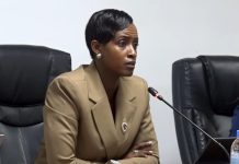 Investing in Sports Results While Omitting Cricket Investing in Sports Results While Omitting Cricket