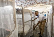 Schools strengthen malaria prevention as cases rise Schools strengthen malaria prevention as cases rise