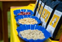 How Rwanda’s coffee exports surged to beat 2029 targets How Rwanda’s coffee exports surged to beat 2029 targets