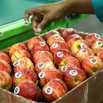 Rwanda lifts eight-year ban on South African agric products Rwanda lifts eight-year ban on South African agric products