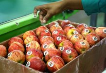 Rwanda lifts eight-year ban on South African agric products Rwanda lifts eight-year ban on South African agric products