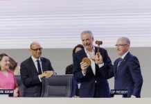 COP30: What makes UN climate change summits important COP30: What makes UN climate change summits important