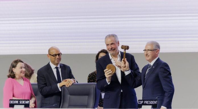 COP30: What makes UN climate change summits important COP30: What makes UN climate change summits important