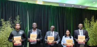 Regional Countries Unite to Conserve Grey Crowned Cranes Regional Countries Unite to Conserve Grey Crowned Cranes