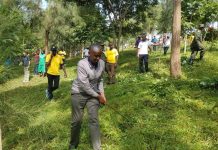 Senate Backs Plan to Broaden Monthly Umuganda Scope Senate Backs Plan to Broaden Monthly Umuganda Scope