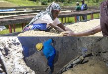 Coffee, minerals boost exports in Q3 2025 Coffee, minerals boost exports in Q3 2025