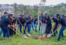 Agaciro Development Fund Promotes Tree-Planting Efforts Agaciro Development Fund Promotes Tree-Planting Efforts