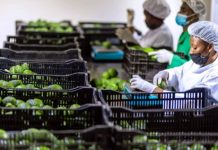 Food Processing Energy Boosts Industrial Output 5.3% Food Processing Energy Boosts Industrial Output 5.3%