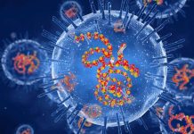 Health Officials Link Low Immunisation Rates to Outbreaks Health Officials Link Low Immunisation Rates to Outbreaks