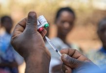 Malaria surge triggers assessment of vaccine options Malaria surge triggers assessment of vaccine options