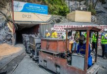 US Development Finance Considers Equity Stake in Trinity Metals US Development Finance Considers Equity Stake in Trinity Metals