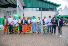 Rwanda Mountain Tea Empowers Farmers for Global Success Rwanda Mountain Tea Empowers Farmers for Global Success