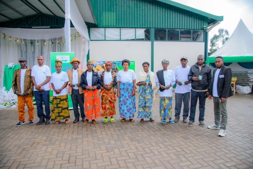 Rwanda Mountain Tea Empowers Farmers for Global Success Rwanda Mountain Tea Empowers Farmers for Global Success