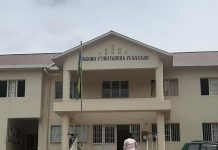 Davis Manzi Sentenced to Seven Years in Prison Davis Manzi Sentenced to Seven Years in Prison