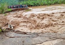 Upcountry Roads Face Growing Environmental Damage Upcountry Roads Face Growing Environmental Damage